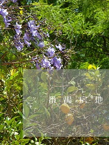 番禺房地产律师多少钱 番禺房地产律师多少钱