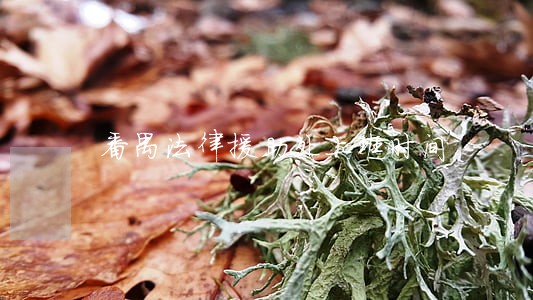 番禺法律援助处上班时间 番禺法律援助处上班时间