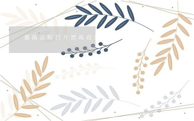 番禺法院召开禁毒宣判大会 番禺法院召开禁毒宣判大会