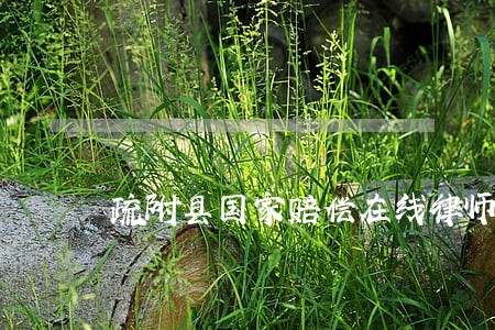 疏附县国家赔偿在线律师 疏附县国家赔偿在线律师