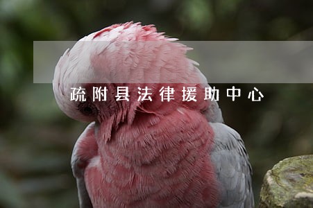 疏附县法律援助中心 疏附县法律援助中心