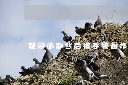 疑问逾期然后被手机轰炸 疑问逾期然后被手机轰炸