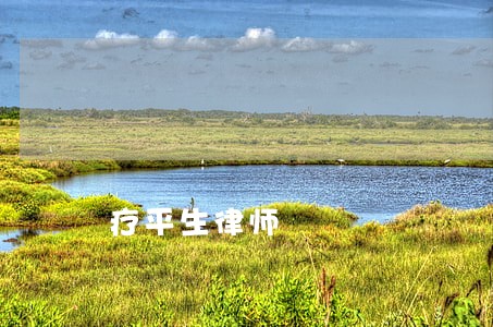 疗平生律师 疗平生律师