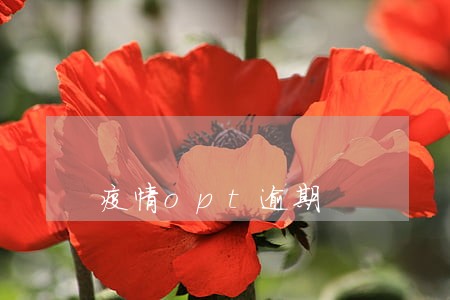 疫情opt逾期 疫情opt逾期