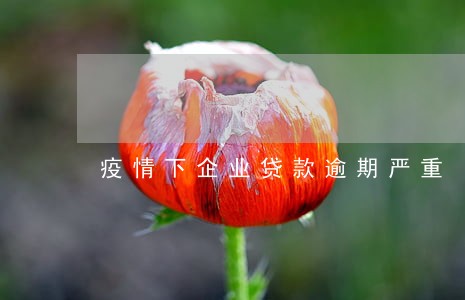 疫情下企业贷款逾期严重 疫情下企业贷款逾期严重