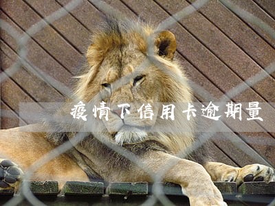疫情下信用卡逾期量