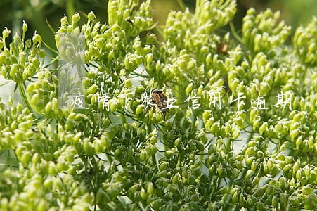 疫情下农业信用卡逾期 疫情下农业信用卡逾期