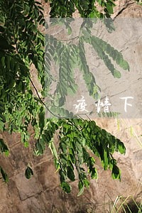 疫情下的个人网贷逾期 疫情下的个人网贷逾期