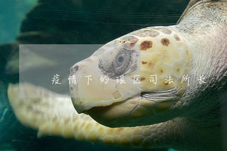 疫情下的瑶区司法所长 疫情下的瑶区司法所长