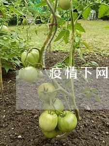 疫情下网商贷逾期了怎么办 疫情下网商贷逾期了怎么办