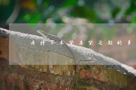 疫情下车贷房贷逾期的多吗 疫情下车贷房贷逾期的多吗