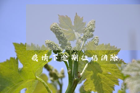疫情下逾期征信消除 疫情下逾期征信消除