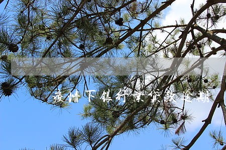 疫情下银行业贷款逾期 疫情下银行业贷款逾期