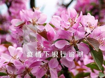 疫情下银行逾期 疫情下银行逾期