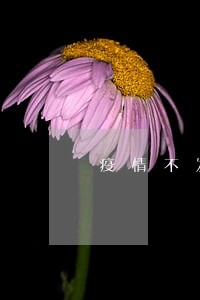 疫情不发工资导致逾期 疫情不发工资导致逾期