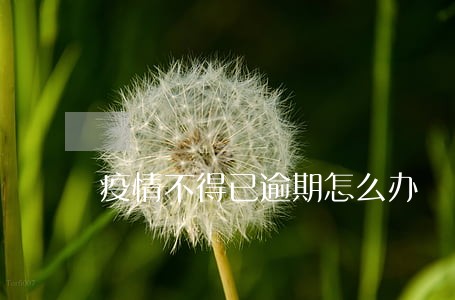 疫情不得已逾期怎么办 疫情不得已逾期怎么办
