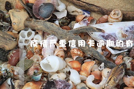 疫情严重信用卡逾期的有多少