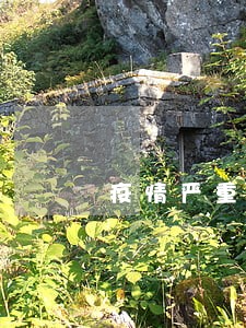 疫情严重拍拍贷逾期 疫情严重拍拍贷逾期