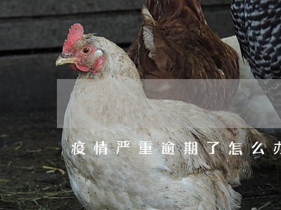 疫情严重逾期了怎么办 疫情严重逾期了怎么办