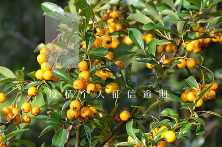 疫情个人征信逾期 疫情个人征信逾期
