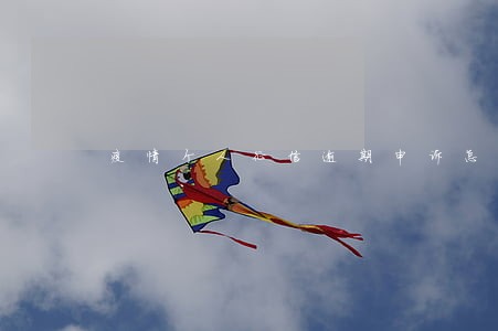 疫情个人征信逾期申诉怎么写 疫情个人征信逾期申诉怎么写