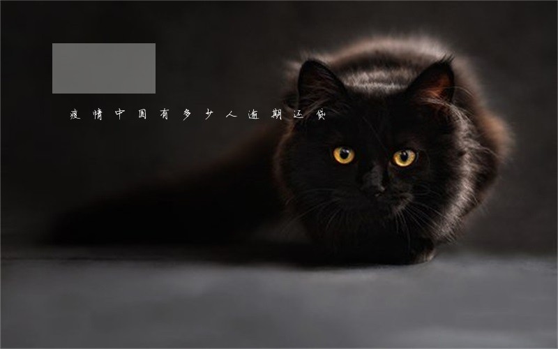 疫情中国有多少人逾期还贷