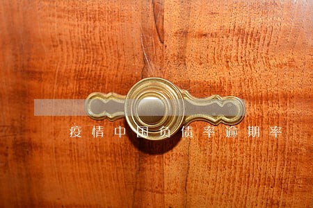 疫情中国负债率逾期率 疫情中国负债率逾期率