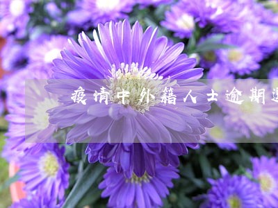 疫情中外籍人士逾期逗留 疫情中外籍人士逾期逗留