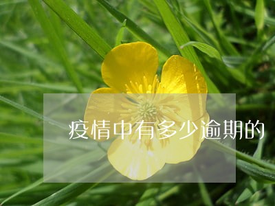 疫情中有多少逾期的 疫情中有多少逾期的