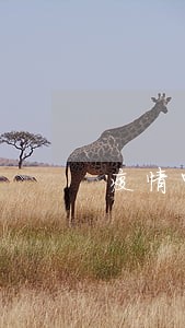 疫情中有逾期怎么办 疫情中有逾期怎么办