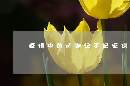 疫情中的逾期记不记征信