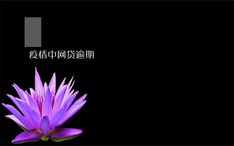 疫情中网贷逾期 疫情中网贷逾期