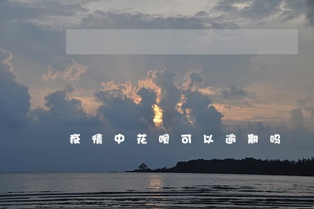 疫情中花呗可以逾期吗 疫情中花呗可以逾期吗
