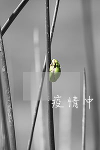 疫情中造成多少负债人逾期 疫情中造成多少负债人逾期