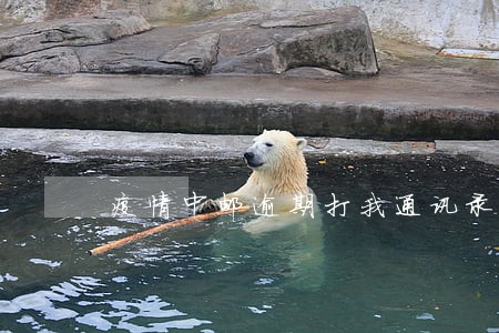 疫情中邮逾期打我通讯录 疫情中邮逾期打我通讯录