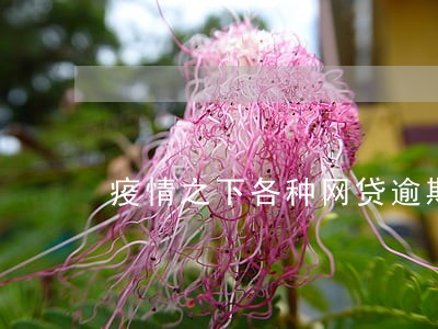 疫情之下各种网贷逾期大曝发 疫情之下各种网贷逾期大曝发