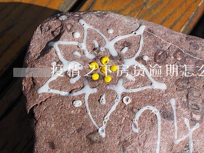 疫情之下房贷逾期怎么办
