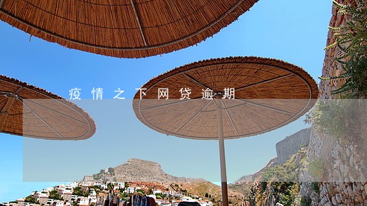 疫情之下网贷逾期 疫情之下网贷逾期