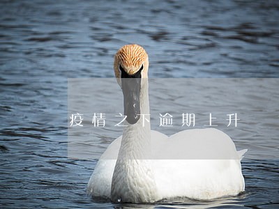 疫情之下逾期上升 疫情之下逾期上升