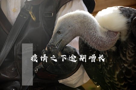 疫情之下逾期增长 疫情之下逾期增长