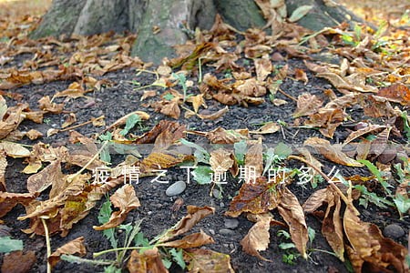 疫情之下逾期的多么 疫情之下逾期的多么