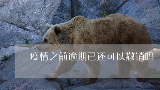 疫情之前逾期已还可以撤销吗 疫情之前逾期已还可以撤销吗