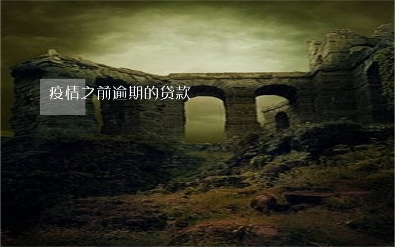 疫情之前逾期的贷款 疫情之前逾期的贷款