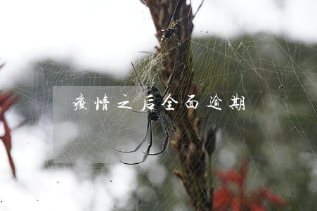 疫情之后全面逾期 疫情之后全面逾期