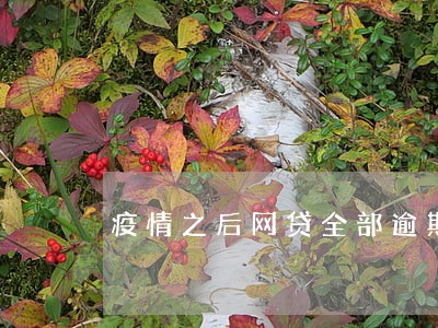 疫情之后网贷全部逾期 疫情之后网贷全部逾期