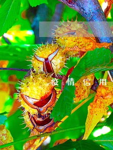 疫情信用卡不算逾期