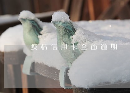 疫情信用卡全面逾期 疫情信用卡全面逾期