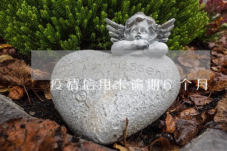 疫情信用卡逾期6个月 疫情信用卡逾期6个月