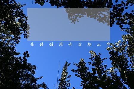 疫情信用卡逾期三个月