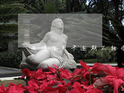 疫情信用卡逾期不能催收家人
